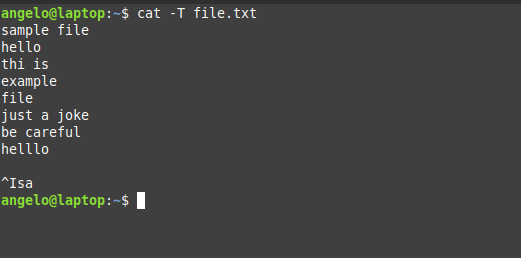 6.- Showing the TAB with the cat command